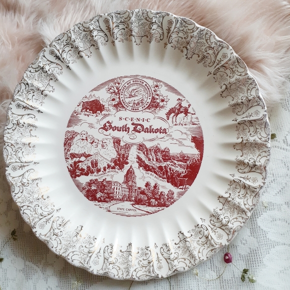 VTG Scenic South Dakota Souvenir Decorative Plate - Picture 5 of 8